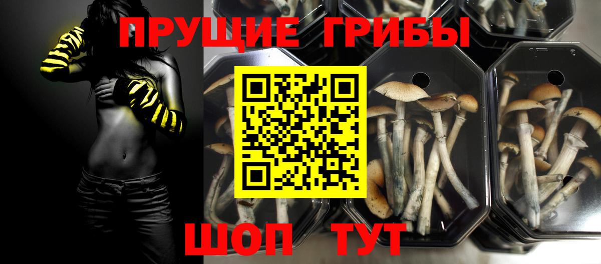 Магнитогорск  Галлюциногенные грибы ЛСД  Вход с VPN 
